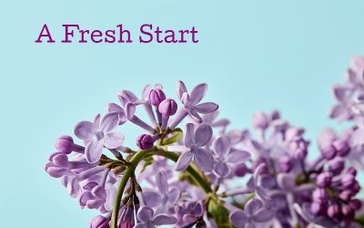 A Fresh Start