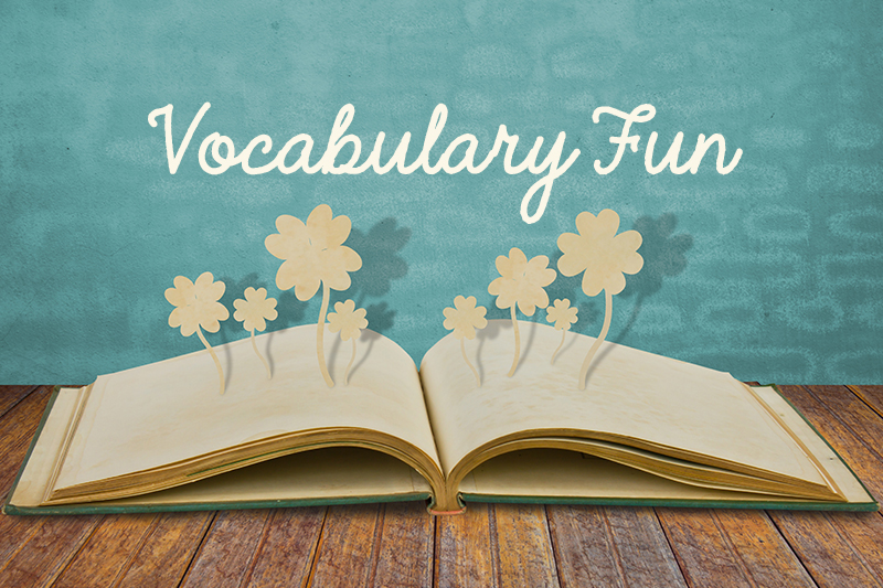 Blog - Vocabulary Fun - Image