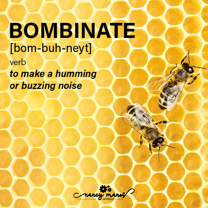 Vocabulary Fun - Bombinate