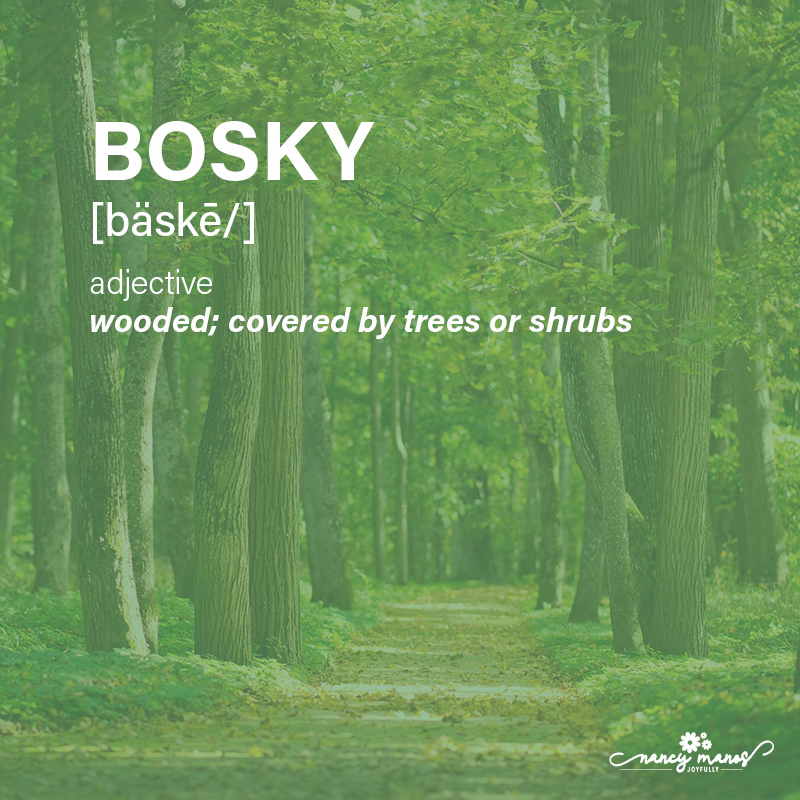 Vocabulary Fun - Bosky